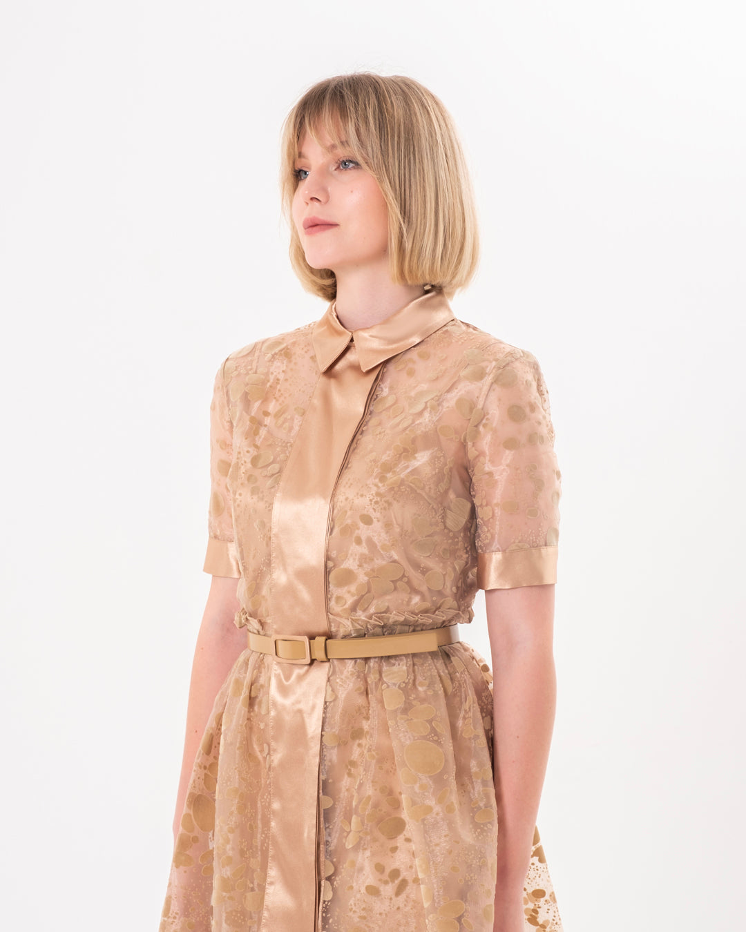 Gömlek Yaka İçi Astarlı Kısa Kol Elbise